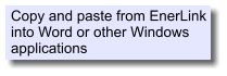 Copy and paste from EnerLink into Word or other Windows applications